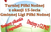 plakat 15