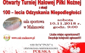 plakat 100