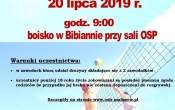 XIV Turniej siatkowki plazowej - plakat