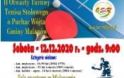 plakat tenis