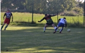 Walka o pilke