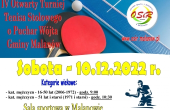 plakat tenis