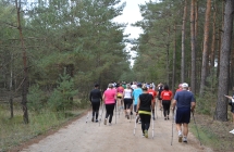 Biegacze oraz uczestnicy marszu nordic walking 