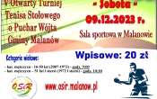 plakat tenis