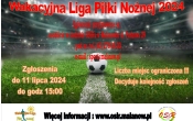 wlpn24 plakat