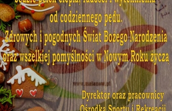 Publikacja1