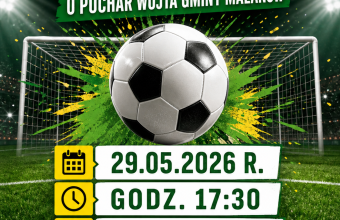 3173df90-0c0b-4d70-8c03-76e1079a4e34