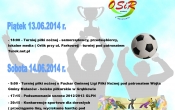plakat XII dni malanowa na sportowo