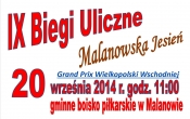 plakat na strone