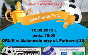 gmina-wojewodzkie-01