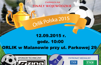 gmina-wojewodzkie-01