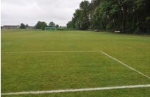 boiskograbkow2