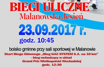 plakat BIEGI 2017 - Kopia